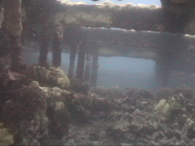 Inside of the stern hold of the SS Hesprides. DiveHatteras photo 