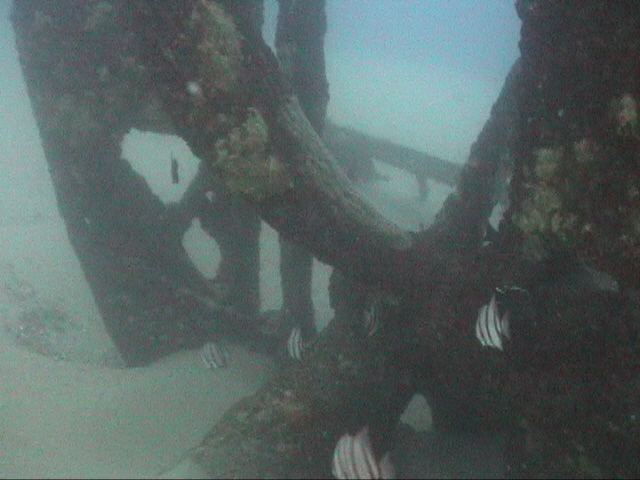 The S.S. Hesperides propeller is sometimes very exposed.  DiveHatteras photo
