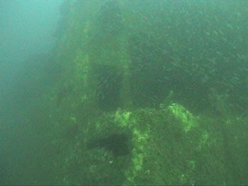 Amidships section of Liberator rises almost 30' from the bottom. (DiveHatteras photo)