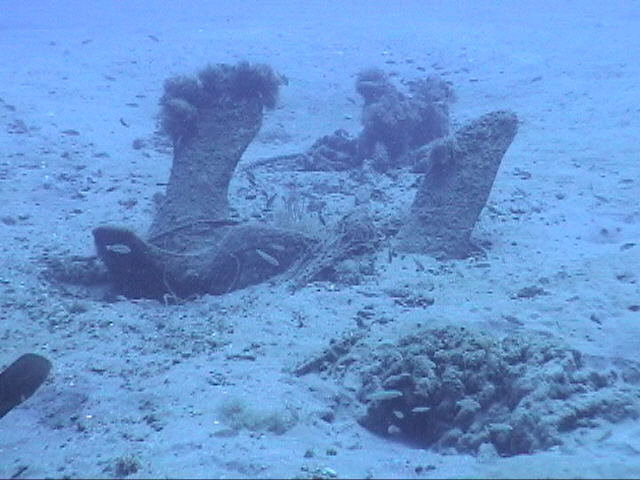 Large anchor in the sand near the Catherine Monohan bow, Dive Hatteras Photo