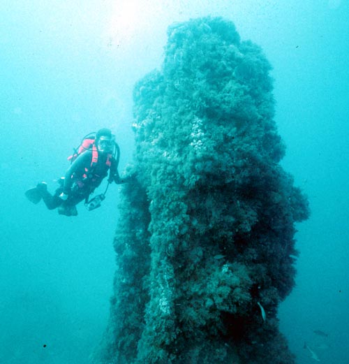 Diver at the top of the Nevada engine. DiveHatteras photo