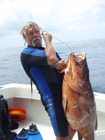 Medium sized Cubera Snapper was taken by Capt Rich while on SCUBA. - Dive Hatteras photo